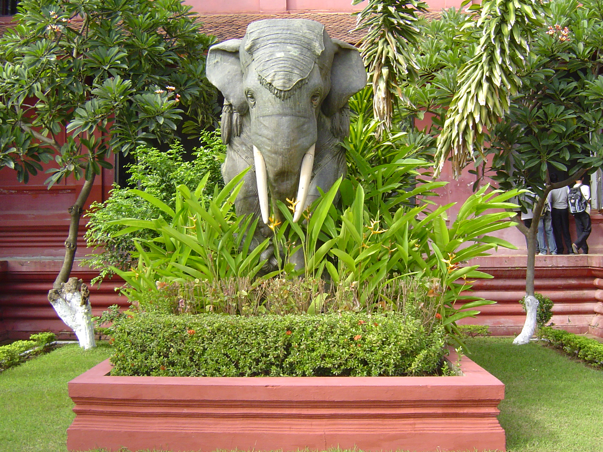DSC00785.JPG